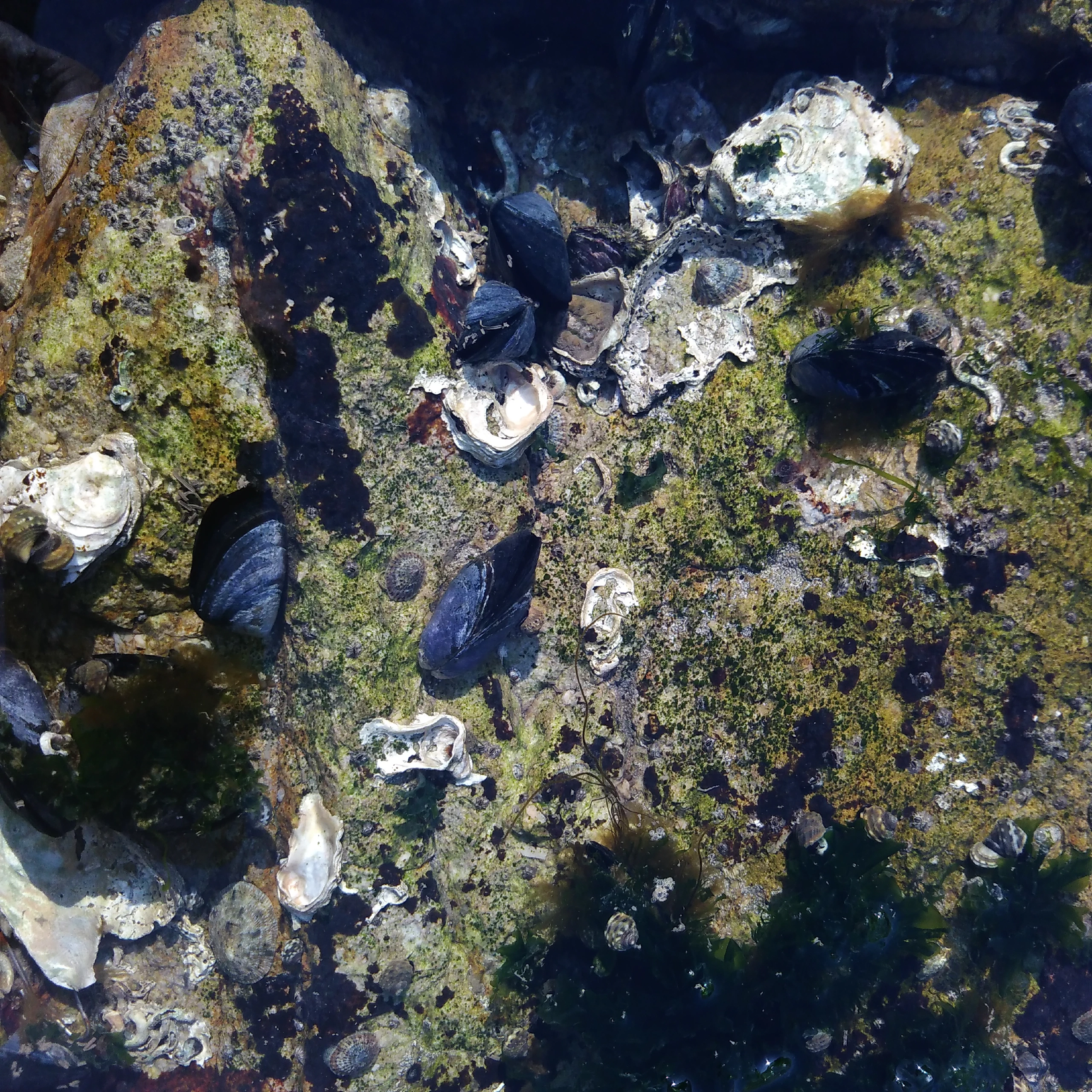 IMG_20160217_151300R.jpg